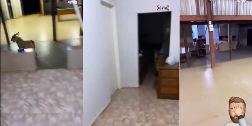 Zé Neto correndo atrás do animal que invadiu a casa (Reprodução: Youtube) Zé Neto correndo atrás do animal que invadiu a casa (Reprodução: Youtube)