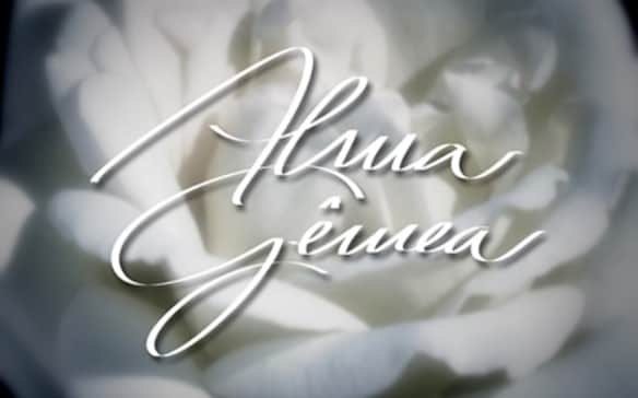 logo alma gemea logo alma gemea