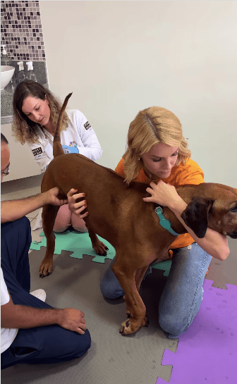 Ana Hickmann fala sobre medicina integrativa Ana Hickmann fala sobre medicina integrativa