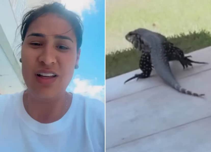 Mansão: Simone e o lagarto (Imagem: Montagem) Mansão: Simone e o lagarto (Imagem: Montagem)