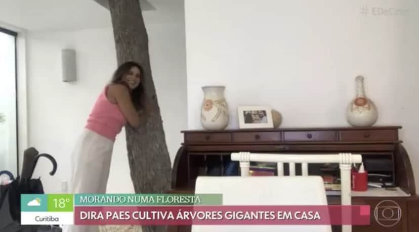 Casa da atriz Dira Paes (Imagem: Reprodução) Casa da atriz Dira Paes (Imagem: Reprodução)