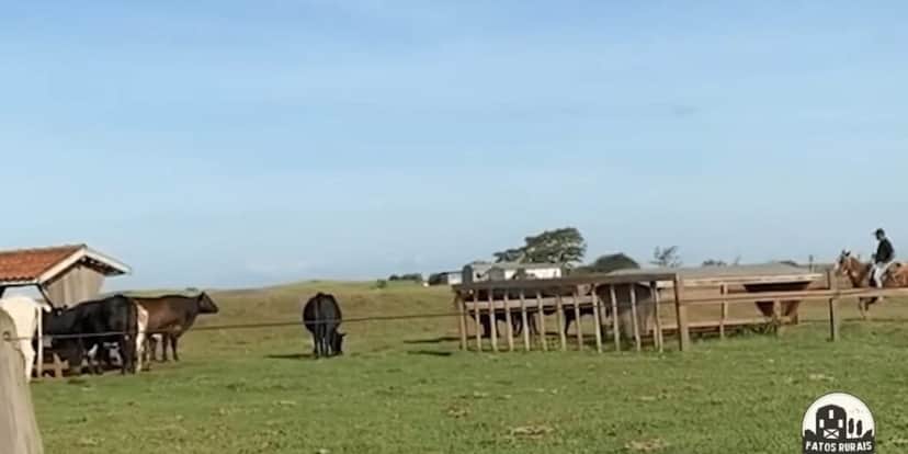 Fazenda Galvão Bueno (Reprodução: Youtube) Fazenda Galvão Bueno (Reprodução: Youtube)