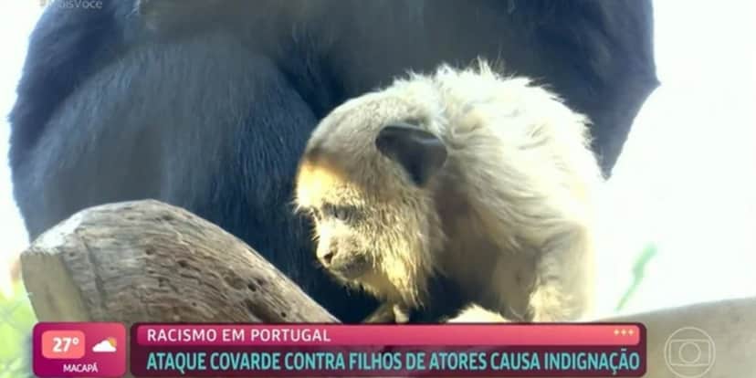 "Mais Você" exibiu imagens de macacos em reportagem sobre racismo (Foto: Reprodução/TV Globo) "Mais Você" exibiu imagens de macacos em reportagem sobre racismo (Foto: Reprodução/TV Globo)