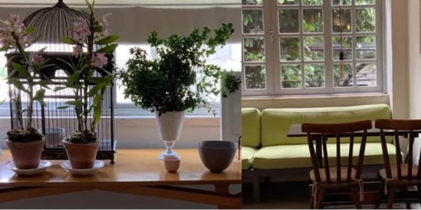 A mansão de Renata Vasconcellos e repleta de muitas plantas e em seu exterior rodeado por muito verde (Reprodução: Youtube) A mansão de Renata Vasconcellos e repleta de muitas plantas e em seu exterior rodeado por muito verde (Reprodução: Youtube)
