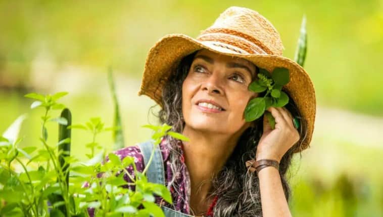 http://tvfoco.uai.com.br/wp-content/uploads/2015/05/Daniela-Mercury.jpg http://tvfoco.uai.com.br/wp-content/uploads/2015/05/Daniela-Mercury.jpg