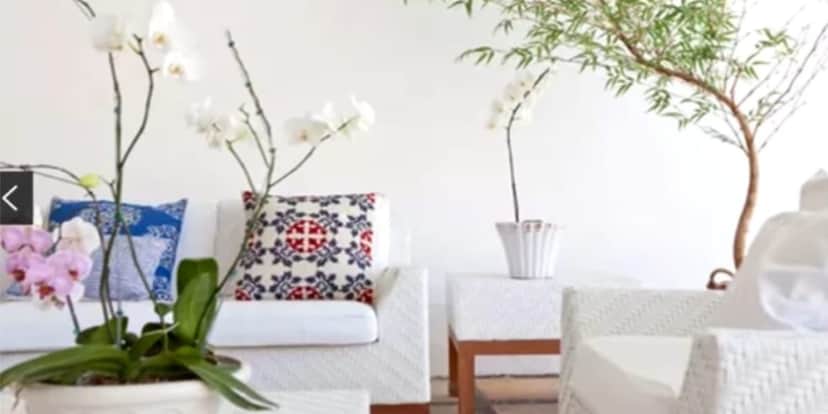 Decoração simples e cheia de plantas pela casa (Reprodução: Youtube) Decoração simples e cheia de plantas pela casa (Reprodução: Youtube)