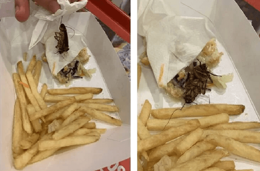 Barata encontrada no meio do lanche do KFC (Foto: Reprodução/ Internet) Barata encontrada no meio do lanche do KFC (Foto: Reprodução/ Internet)