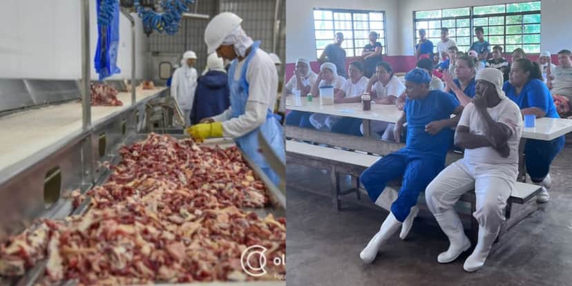 Empresa tem fechamento repentino e gera prejuízo para centenas de famílias - Foto: Reprodução Empresa tem fechamento repentino e gera prejuízo para centenas de famílias - Foto: Reprodução