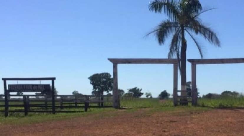 Entrada da fazenda já mostra quanto espaço ela tem (Reprodução: Youtube) Entrada da fazenda já mostra quanto espaço ela tem (Reprodução: Youtube)
