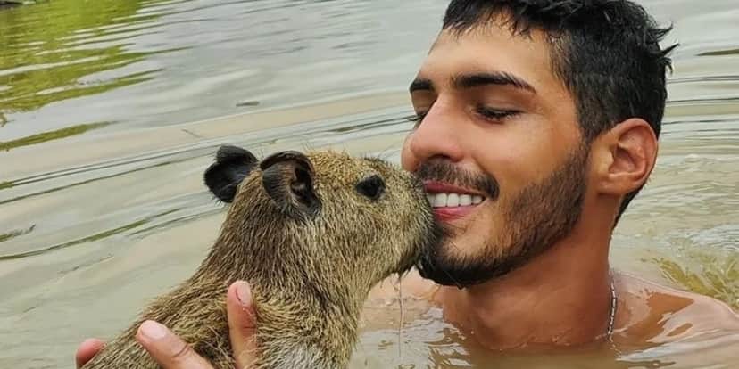 Capivara Filó Capivara Filó