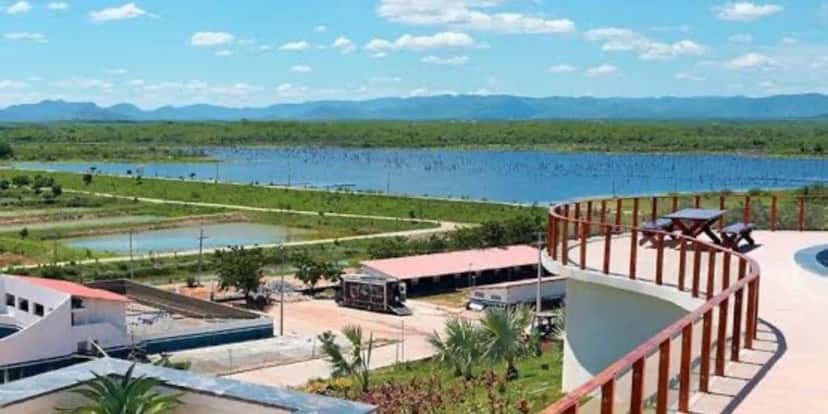 Espaço para corridas e vaquejadas, além do lago particular do cantor (Reprodução: Youtube) Espaço para corridas e vaquejadas, além do lago particular do cantor (Reprodução: Youtube)