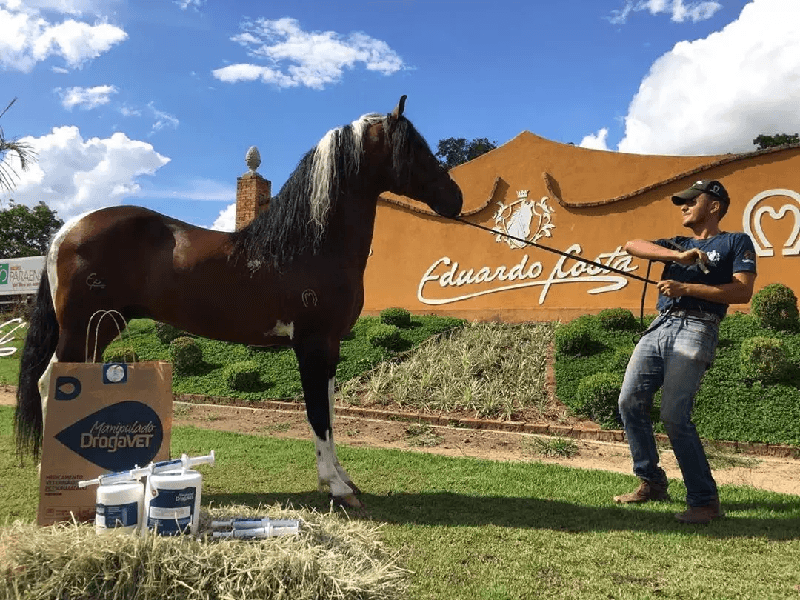 A empresa do sertanejo que vende cavalos de luxo (Foto: Reprodução/ Internet) A empresa do sertanejo que vende cavalos de luxo (Foto: Reprodução/ Internet)
