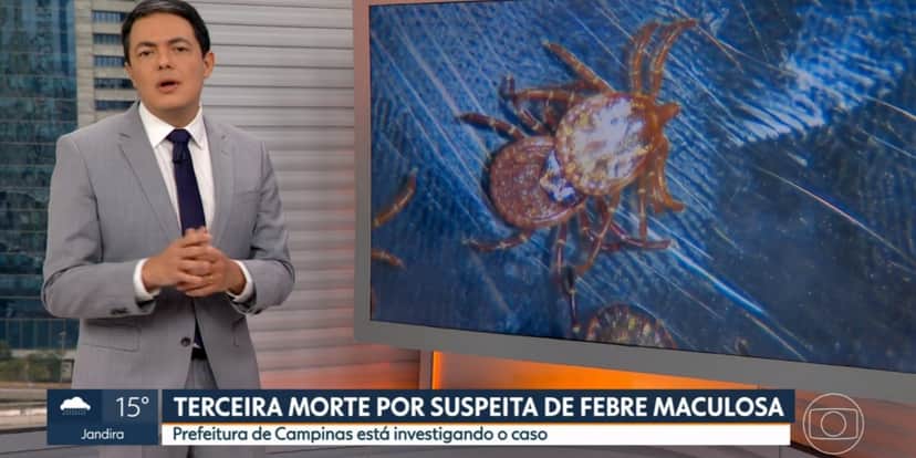 Carrapatos podem ter causado morte de paulistas (Foto: Reprodução/TV Globo) Carrapatos podem ter causado morte de paulistas (Foto: Reprodução/TV Globo)