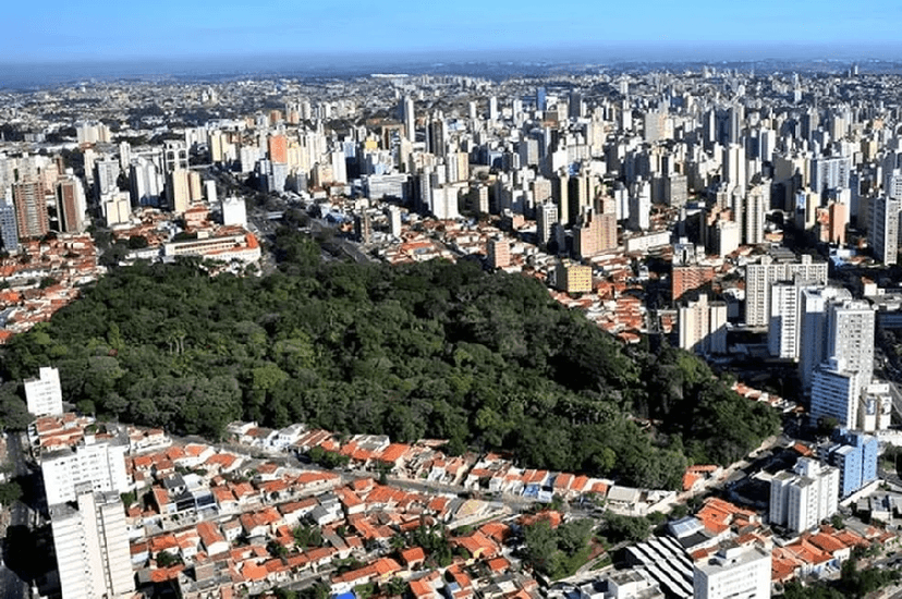 Cidade de Campinas (Foto: Reprodução/ Internet) Cidade de Campinas (Foto: Reprodução/ Internet)