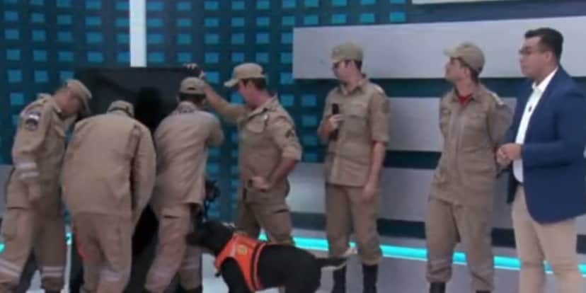 Fábio Araújo, SBT Fábio Araújo, SBT