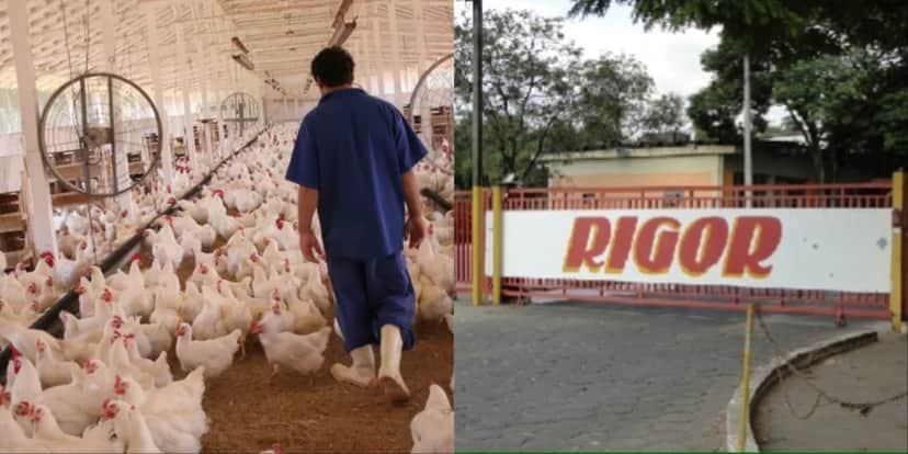A empresa Rigor Alimentos teve a falência decretada - Foto: Reprodução/Internet A empresa Rigor Alimentos teve a falência decretada - Foto: Reprodução/Internet