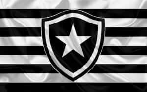 Logo do Botafogo - Foto Internet Logo do Botafogo - Foto Internet