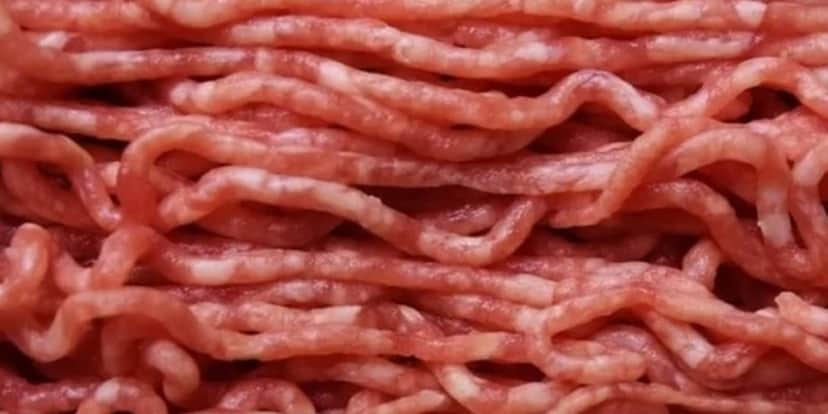 A marca de carne PROIBIDA pela ANVISA - Foto: Reprodução/Internet A marca de carne PROIBIDA pela ANVISA - Foto: Reprodução/Internet