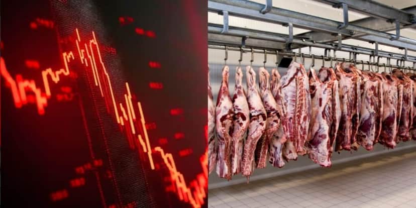 A falência de gigante das carnes no Brasil - foto: TV Foco A falência de gigante das carnes no Brasil - foto: TV Foco