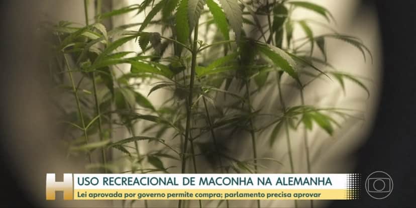 Alemanha aprovou uso recreativo da maconha (Foto: Reprodução/TV Globo) Alemanha aprovou uso recreativo da maconha (Foto: Reprodução/TV Globo)