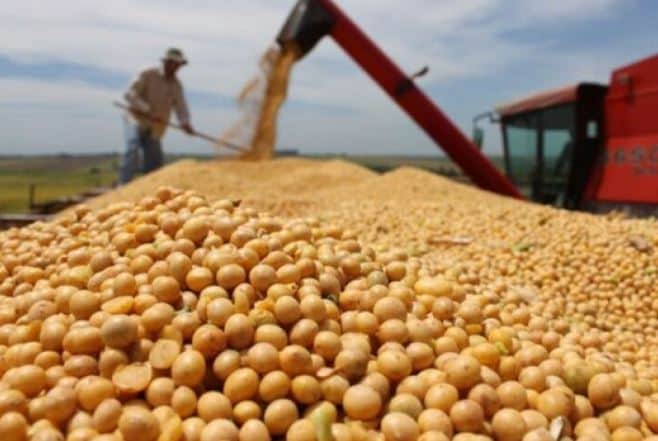 Forte no agro de MS, Grupo Basso, devendo milhões, entra em recuperação judicial - Foto Internet Forte no agro de MS, Grupo Basso, devendo milhões, entra em recuperação judicial - Foto Internet