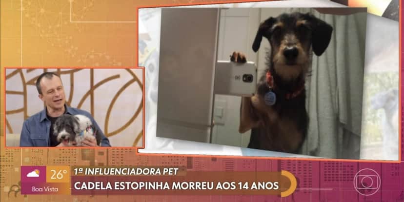 Alexandre Rossi, o Dr. Pet, descreveu os últimos momentos de Estopinha (Foto: Reprodução/TV Globo) Alexandre Rossi, o Dr. Pet, descreveu os últimos momentos de Estopinha (Foto: Reprodução/TV Globo)