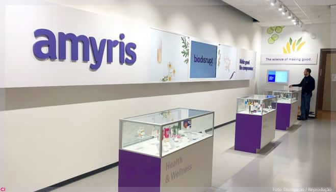 Amyris. Foto: Reprodução/Internet Amyris. Foto: Reprodução/Internet