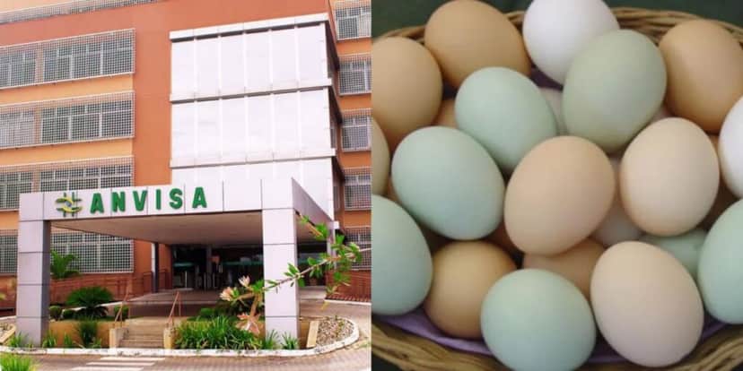 A marca de ovos arrancada dos mercados pela ANVISA - Foto: Reprodução/TV FOCO A marca de ovos arrancada dos mercados pela ANVISA - Foto: Reprodução/TV FOCO