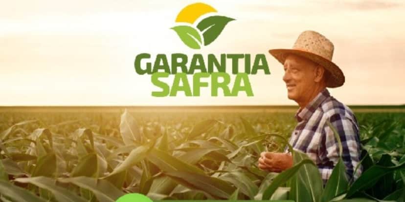 Garantia-Safra é uma ação do Governo Federal pago pela Caixa (Foto: Divulgação/Secretaria de Agricultura) Garantia-Safra é uma ação do Governo Federal pago pela Caixa (Foto: Divulgação/Secretaria de Agricultura)