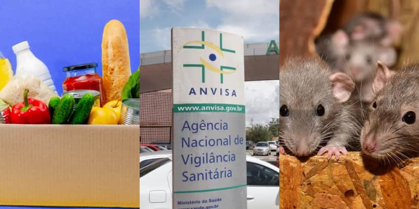 A ANVISA permite quantidade mínima de pelos de roedores e demais fragmentos em produtos (Foto Reprodução/Montagem/Tv Foco) A ANVISA permite quantidade mínima de pelos de roedores e demais fragmentos em produtos (Foto Reprodução/Montagem/Tv Foco)