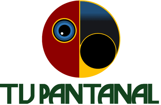 TV Pantanal - Foto Internet TV Pantanal - Foto Internet