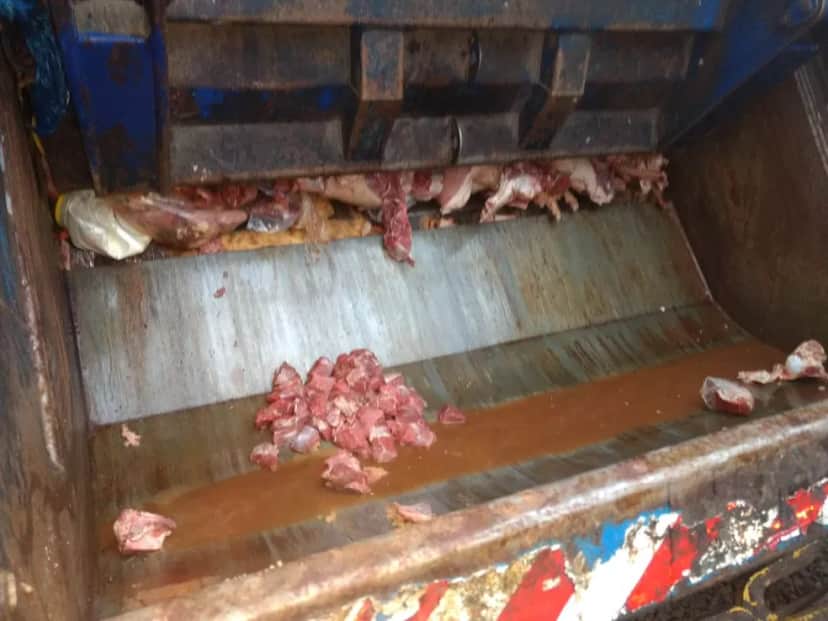 Açougue foi interditado pela Anvisa. Foto: Divulgação/Prefeitura de São Sebastião Açougue foi interditado pela Anvisa. Foto: Divulgação/Prefeitura de São Sebastião