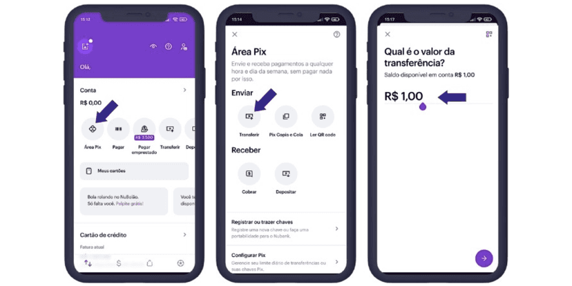 PIX no crédito (Reprodução/Internet) PIX no crédito (Reprodução/Internet)