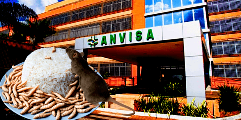Anvisa baixou proibição contra marca de arroz após constatar presença de pelo de rato e larvas (Foto Reprodução/Montagem/Tv Foco) Anvisa baixou proibição contra marca de arroz após constatar presença de pelo de rato e larvas (Foto Reprodução/Montagem/Tv Foco)