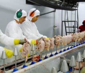 Anvisa proíbe em todo Brasil lote de peito de frango da marca D+ Alimentos (Foto: Reprodução / Internet) Anvisa proíbe em todo Brasil lote de peito de frango da marca D+ Alimentos (Foto: Reprodução / Internet)