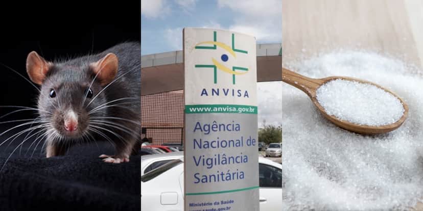 Pelos de rato foram encontrados pela Anvisa em marca de açúcar (Foto: Divulgação) Pelos de rato foram encontrados pela Anvisa em marca de açúcar (Foto: Divulgação)
