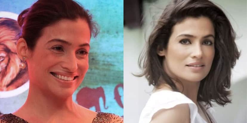 http://tvfoco.uai.com.br/wp-content/uploads/2015/05/Daniela-Mercury.jpg http://tvfoco.uai.com.br/wp-content/uploads/2015/05/Daniela-Mercury.jpg