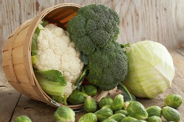 Verduras. Foto: Reprodução/Internet Verduras. Foto: Reprodução/Internet