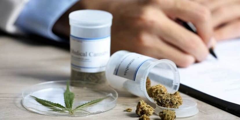 Medicamento e maconha (Foto: Reprodução / Shutterstock) Medicamento e maconha (Foto: Reprodução / Shutterstock)
