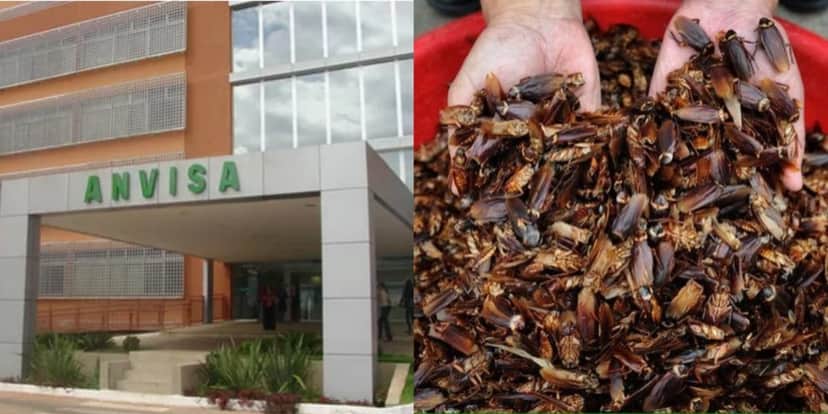 A interdição às pressas da ANVISA contra estabelecimentos - Foto: Internet A interdição às pressas da ANVISA contra estabelecimentos - Foto: Internet
