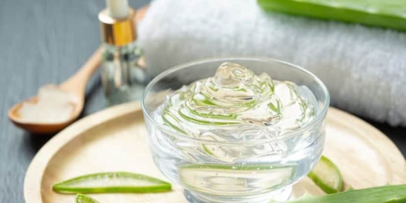 Uso da babosa como cosmético (Foto: Freepik) Uso da babosa como cosmético (Foto: Freepik)