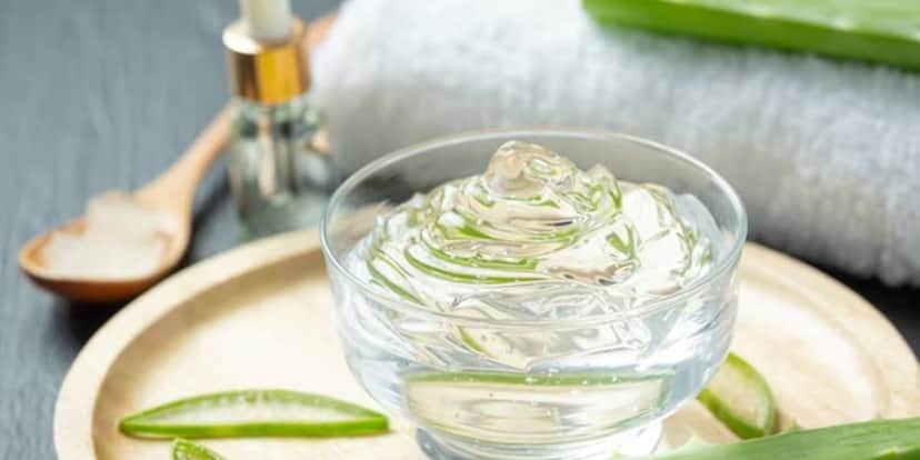 Uso da babosa como cosmético (Foto: Freepik) Uso da babosa como cosmético (Foto: Freepik)