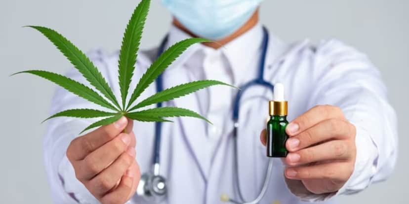 Anvisa emitiu proibição sobre a cannabis (Foto: Freepik) Anvisa emitiu proibição sobre a cannabis (Foto: Freepik)