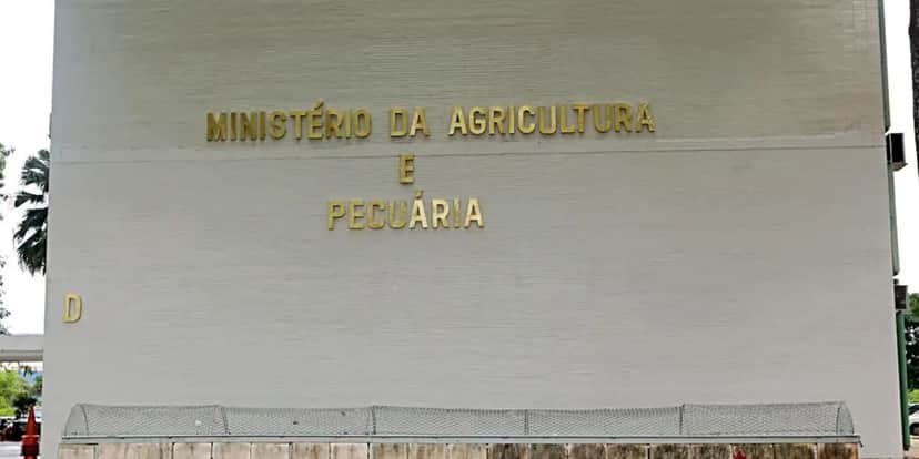 Ministério da Agricultura e Pecuária exigiu a retirada de 10 marcas de azeite (Reprodução: Internet) Ministério da Agricultura e Pecuária exigiu a retirada de 10 marcas de azeite (Reprodução: Internet)
