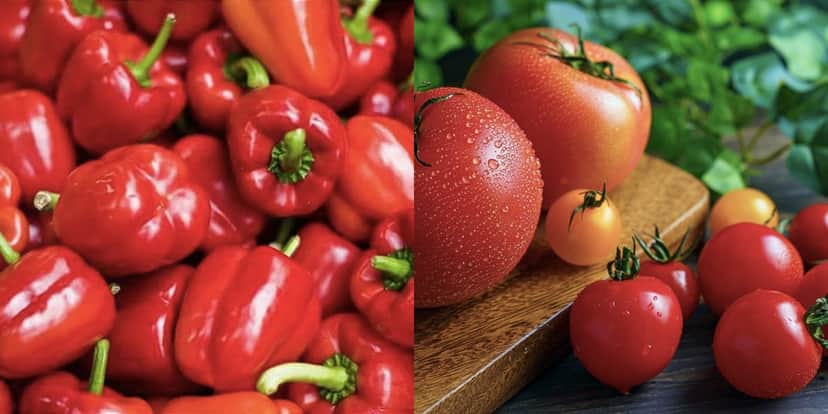 Pimentão vermelho e tomates (Reprodução/Internet) Pimentão vermelho e tomates (Reprodução/Internet)