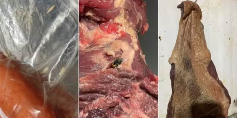 Amostras de pedaços de carnes com larvas, insetos, bolor e coloração escura - Foto: Polícia Civil Amostras de pedaços de carnes com larvas, insetos, bolor e coloração escura - Foto: Polícia Civil