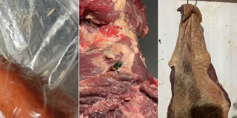 Larvas, moscas estavam presente nas carnes (Reprodução: Polícia Civil)