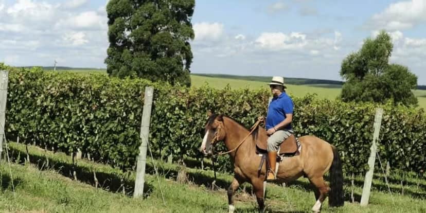 Comentarista é dono de fazenda milionária (Reprodução/Internet) Comentarista é dono de fazenda milionária (Reprodução/Internet)
