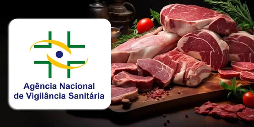 ANVISA - Carne (Foto: Reprodução, Montagem - TV Foco) ANVISA - Carne (Foto: Reprodução, Montagem - TV Foco)