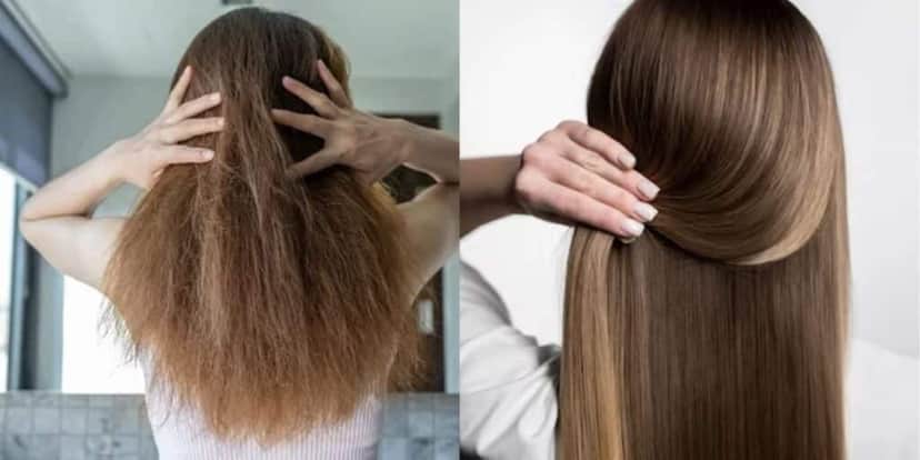 Cabelo ressecado e cabelo hidratado (Fotos: Reproduções / Internet / Freepik) Cabelo ressecado e cabelo hidratado (Fotos: Reproduções / Internet / Freepik)